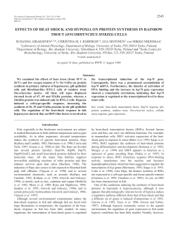 EFFECTS OF HEAT SHOCK AND HYPOXIA ON PROTEIN