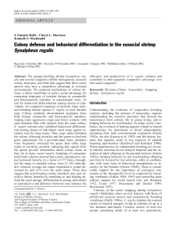 Colony defense and behavioral differentiation in the eusocial shrimp