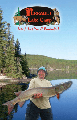 our brochure