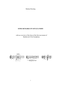 Martijn Hooning SOME REMARKS ON SONATA FORM with an