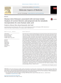Human risk of diseases associated with red meat intake: Analysis of