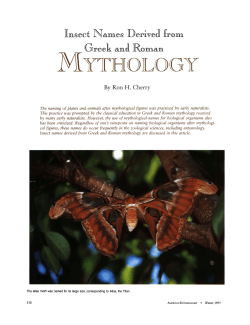 Insect names derived from Greek and Roman mythology
