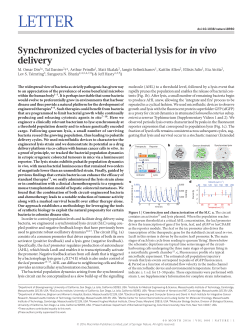 Synchronized cycles of bacterial lysis for in vivo delivery