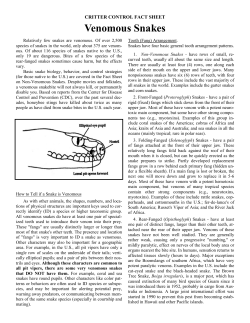 Snakes - Generations