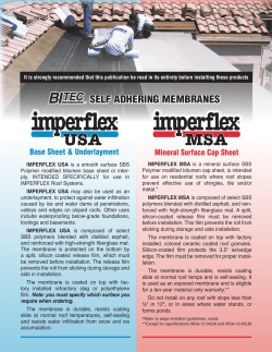 USA MSA - BITEC, Inc.