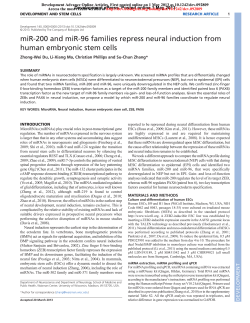 miR-200 and miR-96 families repress neural