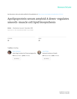 Apolipoprotein serum amyloid A down-regulates smooth