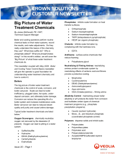 Big Picture of Water Treatment Chemicals