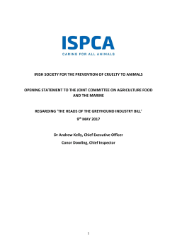 irish society for the prevention of cruelty to animals opening