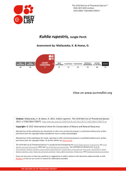 Kuhlia rupestris, Jungle Perch