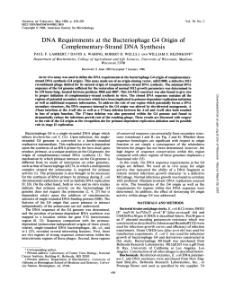 DNA Requirements at the Bacteriophage G4 Origin of
