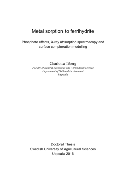 Metal sorption to ferrihydrite - Epsilon Open Archive