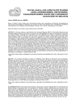 as a PDF