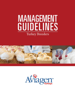 Breeder Management Guidelines