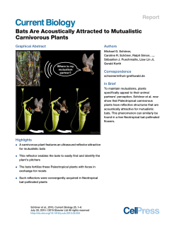 Bats Are Acoustically Attracted to Mutualistic Carnivorous Plants