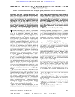 Isolation and Characterization of Transformed Human T