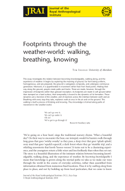 Footprints through the weather-world