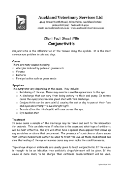 Conjunctivitis - Auckland Veterinary Services