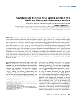 Abundant and Selective RNA-Editing Events in the