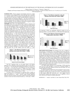 gender differences in the histology of the human anterior cruciate