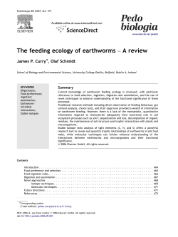 The feeding ecology of earthworms &ndash; A review