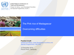 The Pink rice of Madagascar Overcoming difficulties