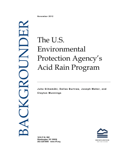 The U.S. Environmental Protection Agency`s Acid Rain Program