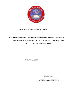 the African Union - Addis Ababa University Institutional Repository