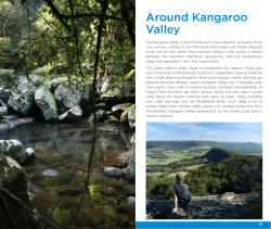 Around Kangaroo Valley