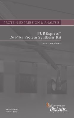 manual PURExpress In Vitro Protein Synthesis Kit E6800