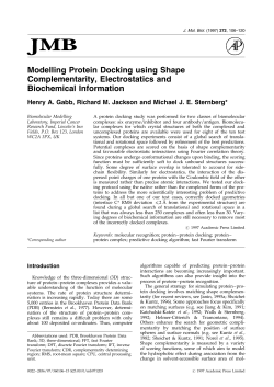 Modelling Protein Docking using Shape Complementarity