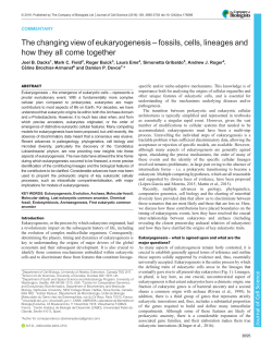 The changing view of eukaryogenesis &ndash; fossils, cells, lineages and