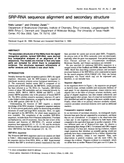 SRP-RNA sequence alignment and secondary structure