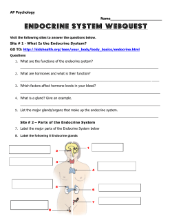 endocrine webquest