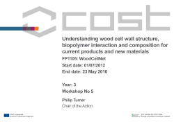 Understanding wood cell wall structure, biopolymer interaction and