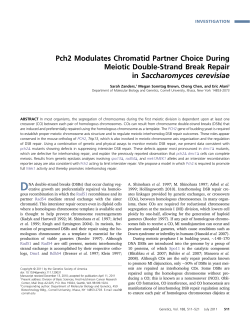 Pch2 Modulates Chromatid Partner Choice During Meiotic Double
