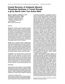 Crystal Structure of Imidazole Glycerol Phosphate Synthase: A