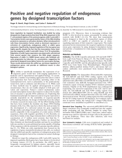 Positive and negative regulation of endogenous genes by designed