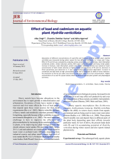 plant H drilla verticillata - Journal of Environmental Biology