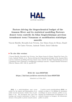 Factors driving the biogeochemical budget of the Amazon River and