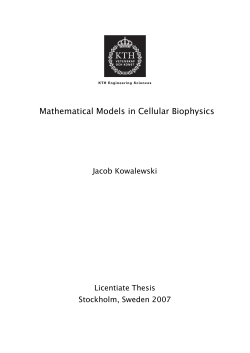 Mathematical Models in Cellular Biophysics
