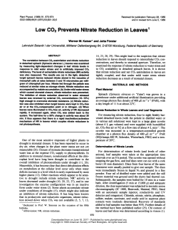 Low CO2 Prevents Nitrate Reduction in Leaves1