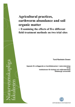 Agricultural practices, earthworm abundance and soil organic matter