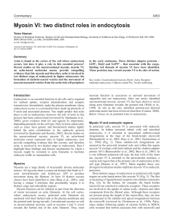 Myosin VI: two distinct roles in endocytosis