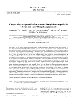 SCIENCE CHINA Comparative analyses of leaf anatomy of