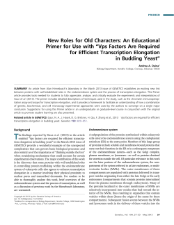 New Roles for Old Characters: An Educational Primer for