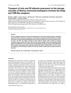 to get the file - Oxford Brookes University