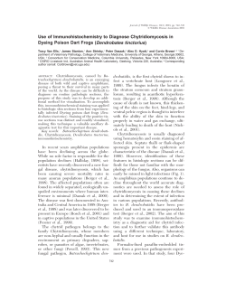 Use of Immunohistochemistry to Diagnose