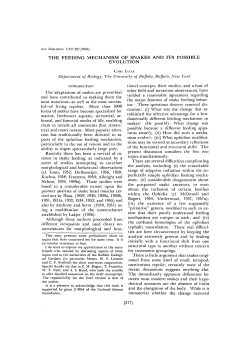the feeding mechanism of snakes and its possible evolution