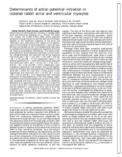Determinants of action potential initiation in isolated rabbit atrial and